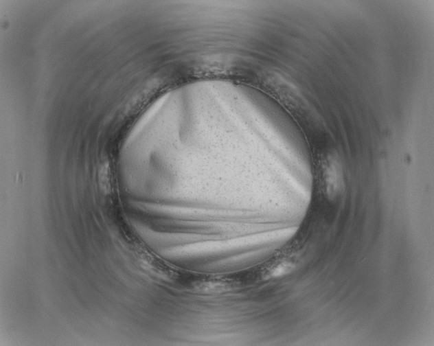 X0000060770224200511241802