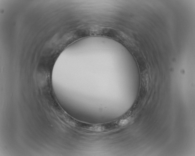 X0000060770225200511241802