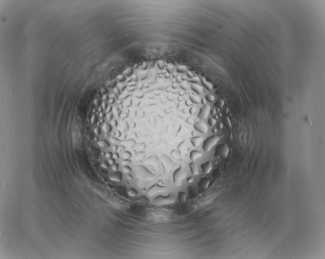 X0000060770226200511241802