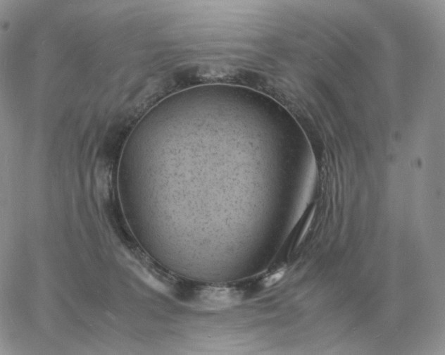 X0000060770227200511241802