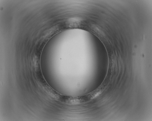 X0000060770228200511241802