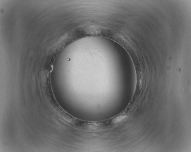 X0000060770229200511241801