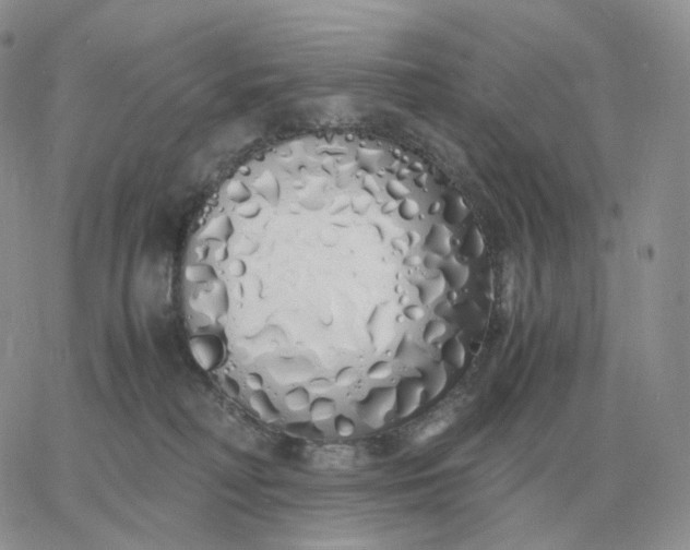 X0000060770230200511241801