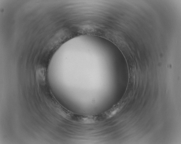 X0000060770232200511241801