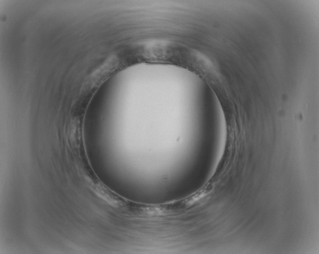 X0000060770233200511241801