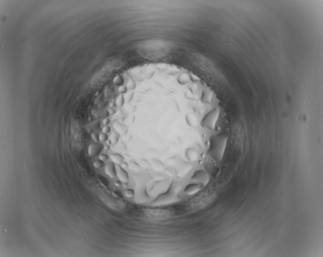 X0000060770234200511241801