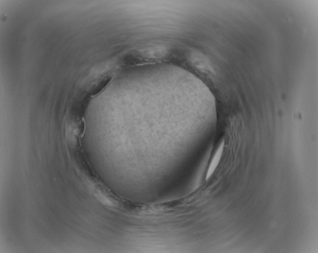 X0000060770235200511241801