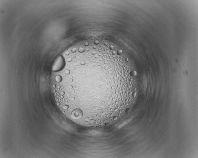 X0000060770236200511241801