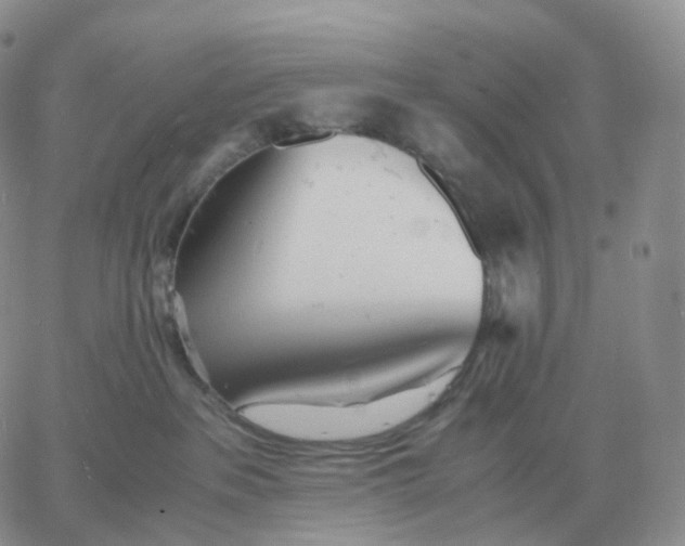 X0000060770237200511241801