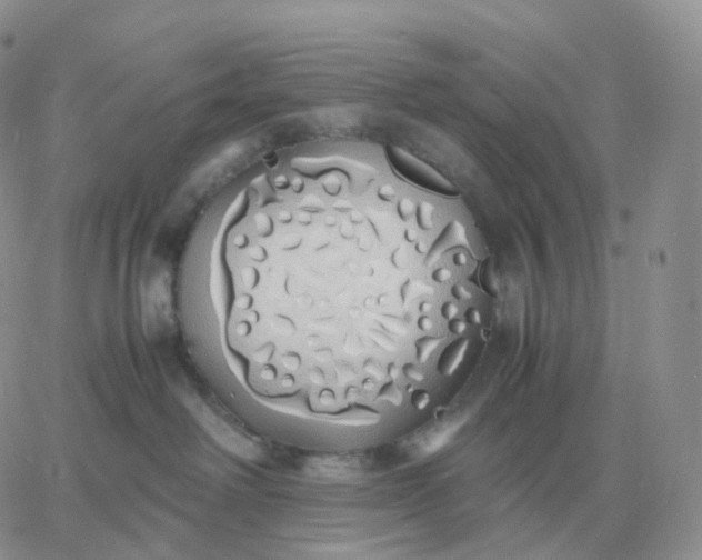 X0000060770238200511241801