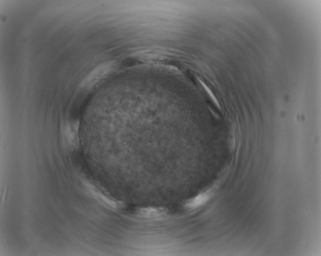 X0000060770239200511241801