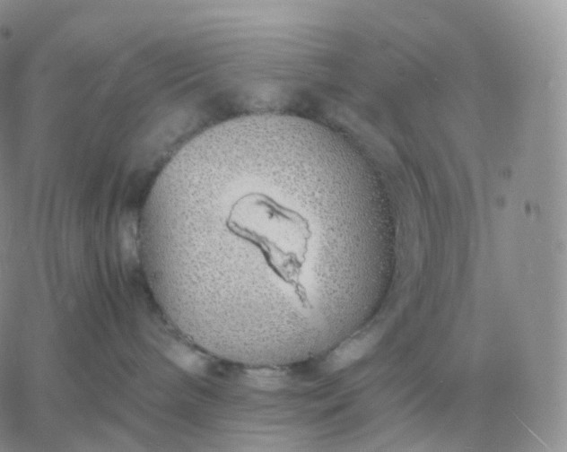 X0000060770240200511241801