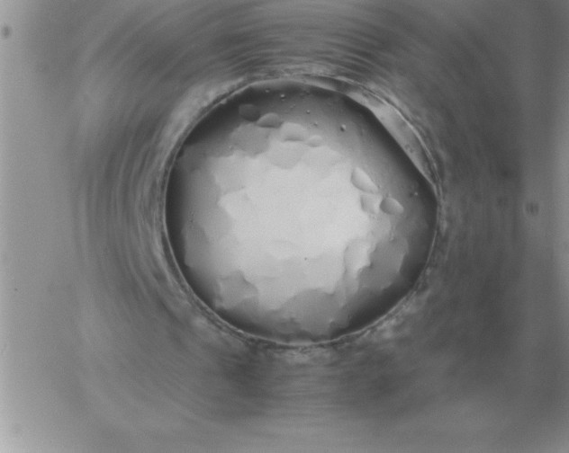 X0000060770241200511241801