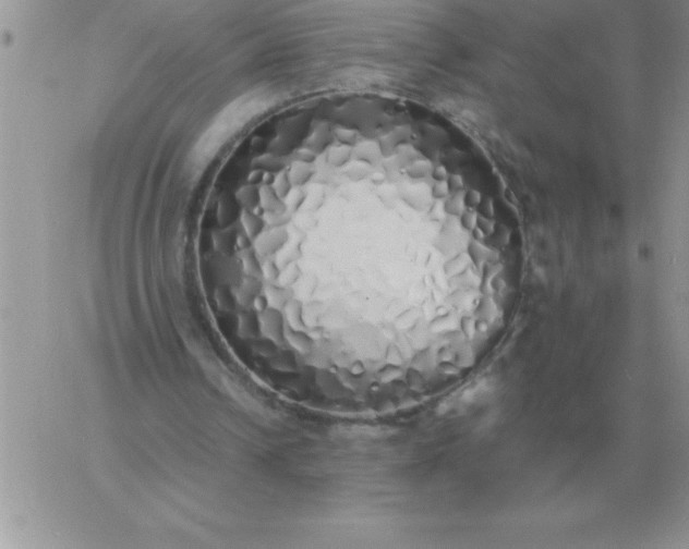 X0000060770242200511241801