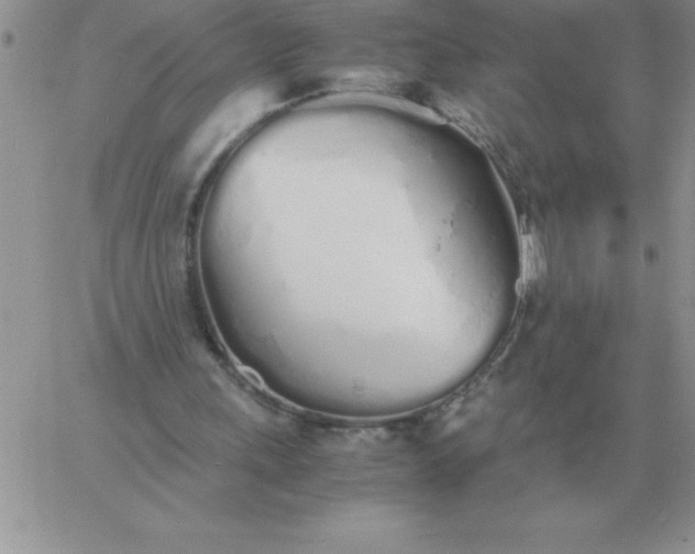 X0000060770243200511241801