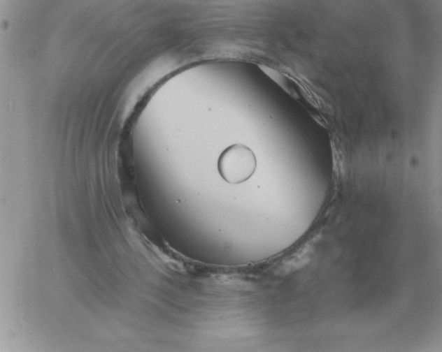 X0000060770244200511241801