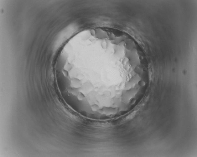 X0000060770245200511241801