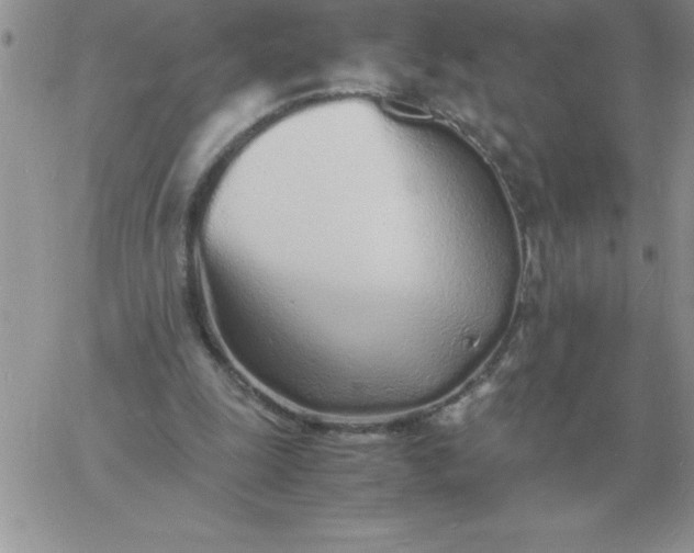 X0000060770247200511241801