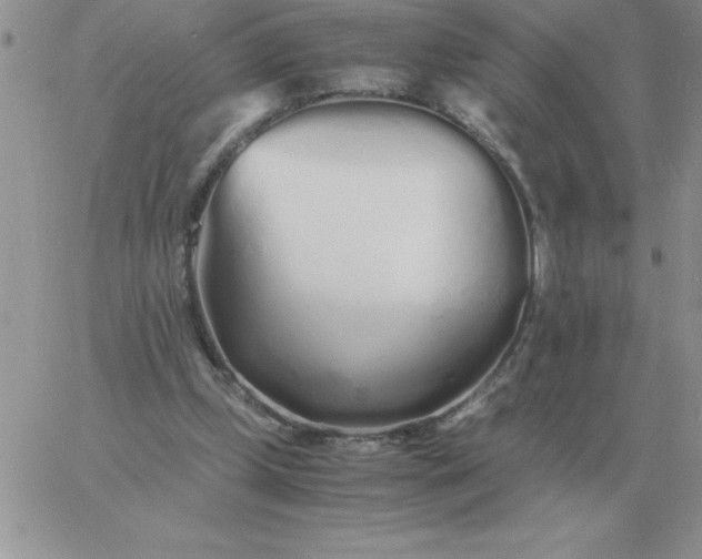 X0000060770249200511241801