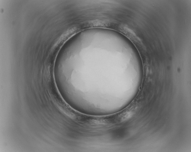 X0000060770250200511241801