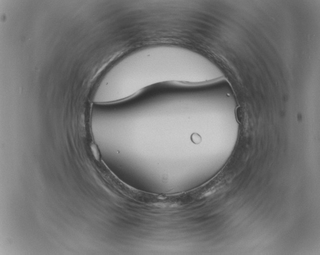 X0000060770251200511241801