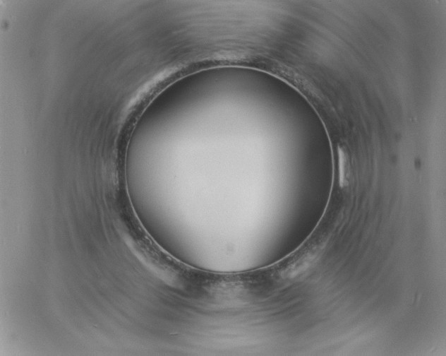 X0000060770252200511241801