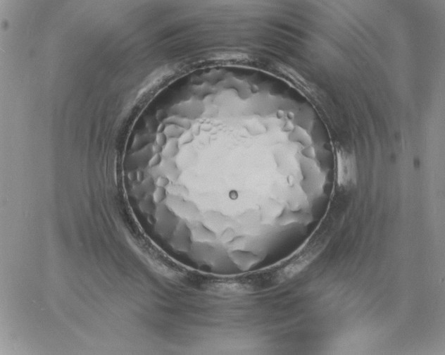 X0000060770253200511241801