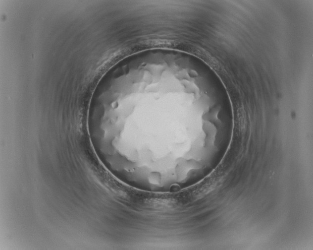 X0000060770255200511241801