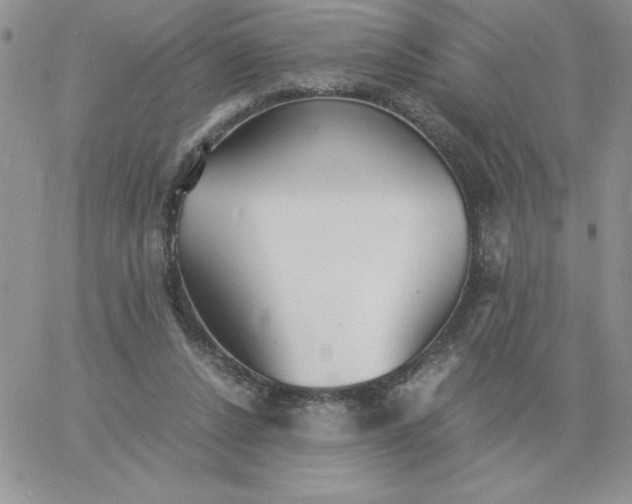 X0000060770256200511241801