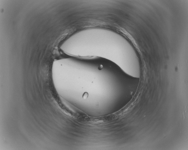 X0000060770257200511241801