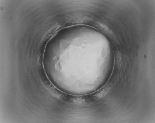 X0000060770258200511241801