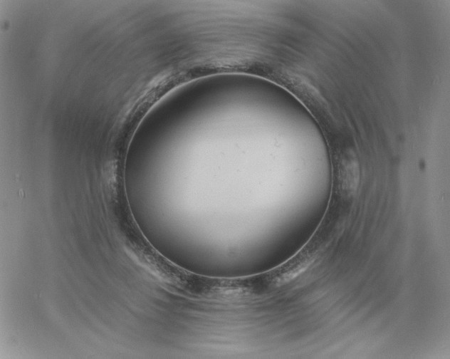 X0000060770260200511241801