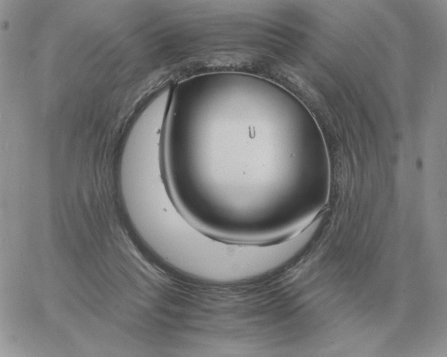 X0000060770261200511241801