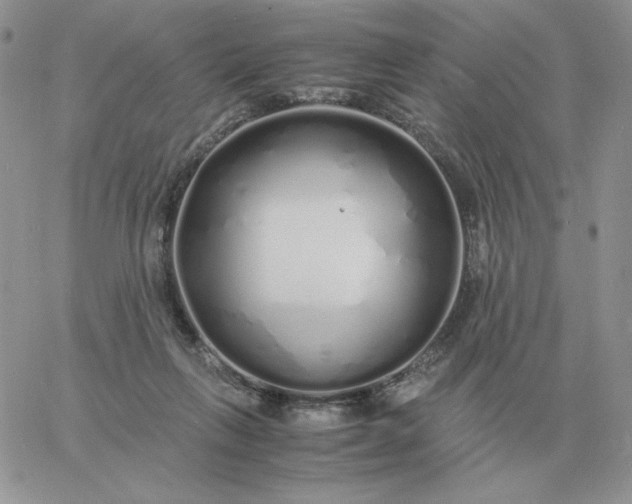 X0000060770263200511241801