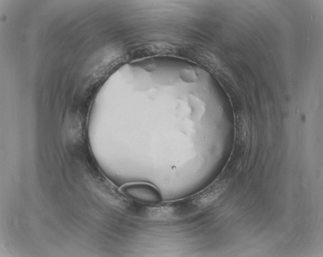 X0000060770266200511241801