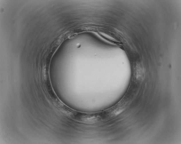 X0000060770267200511241801