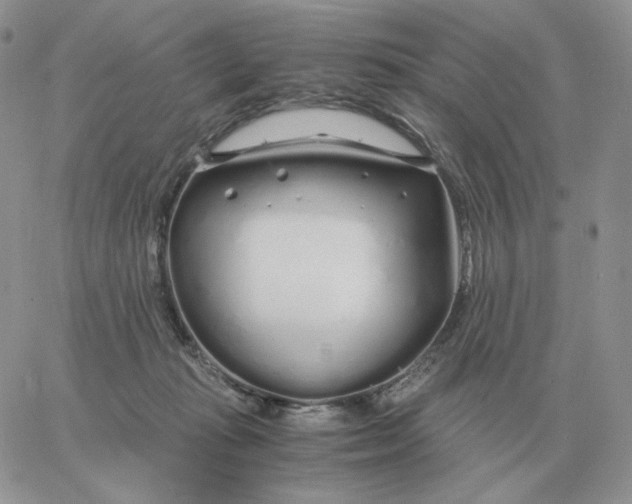 X0000060770269200511241801