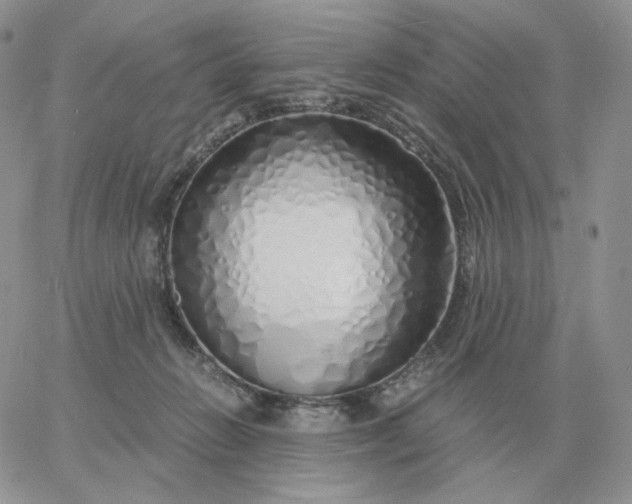 X0000060770270200511241801