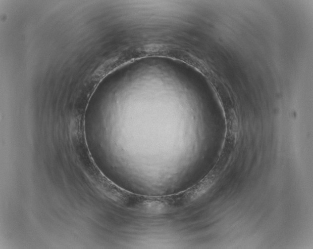 X0000060770272200511241801