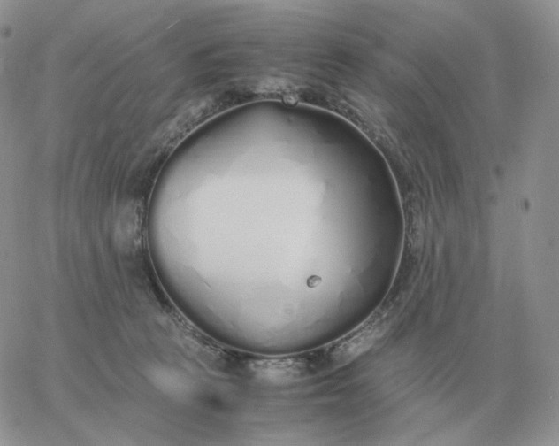 X0000060770273200511241801