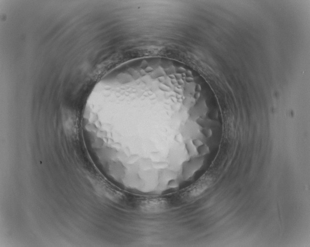 X0000060770274200511241801