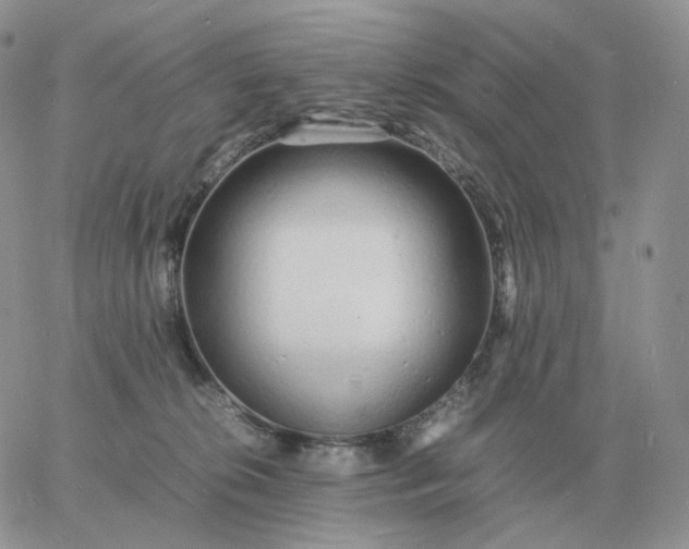 X0000060770276200511241801