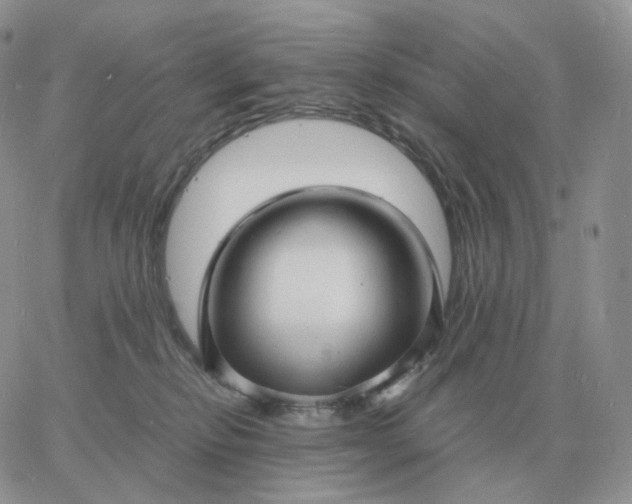 X0000060770278200511241801