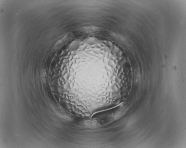 X0000060770279200511241801