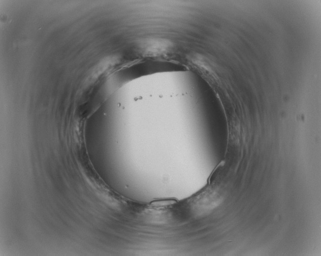 X0000060770280200511241801