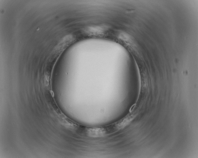 X0000060770281200511241801