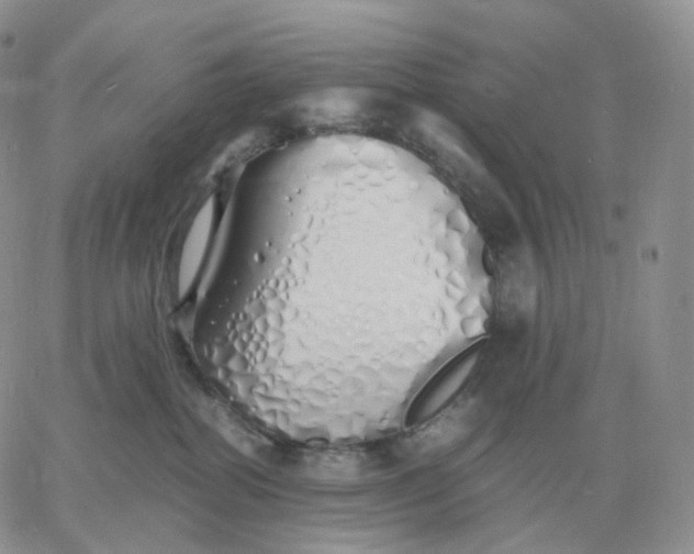 X0000060770282200511241801