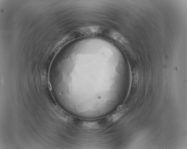 X0000060770283200511241801