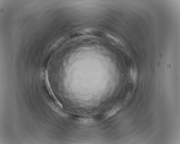 X0000060770284200511241801