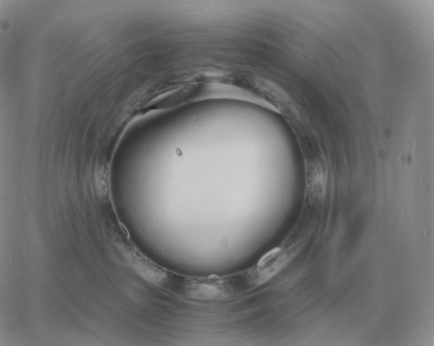 X0000060770285200511241801